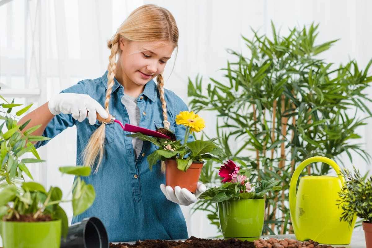 Dicas essenciais para cultivar plantas sem esforço na varanda