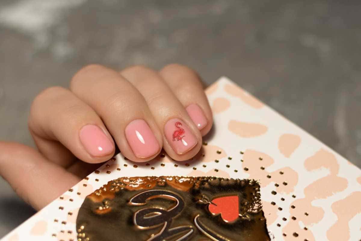 Dicas de Cuidados, Promoções e Novidades em Unhas Ovais Curtas