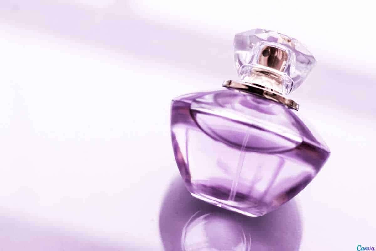 Diferenças e semelhanças entre Floratta Fleur de Eclipse e perfumes similares