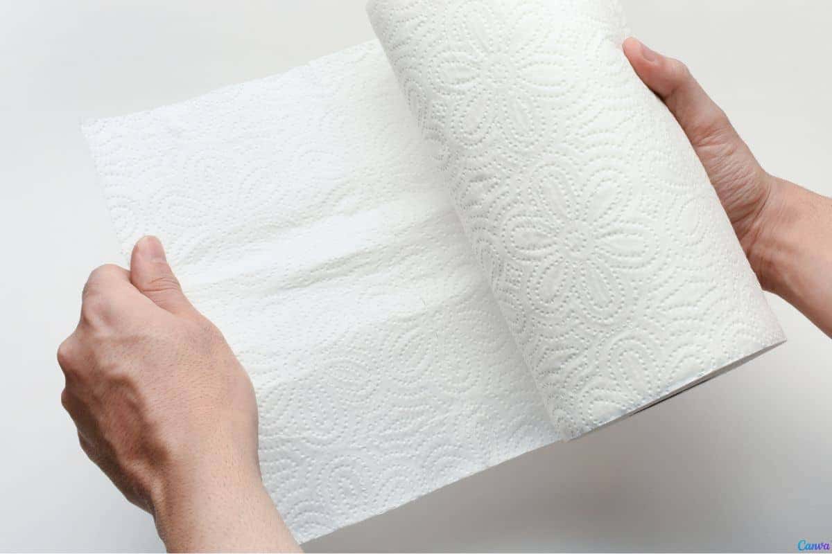 Esse truque com papel toalha está ajudando a conservar verduras por mais tempo