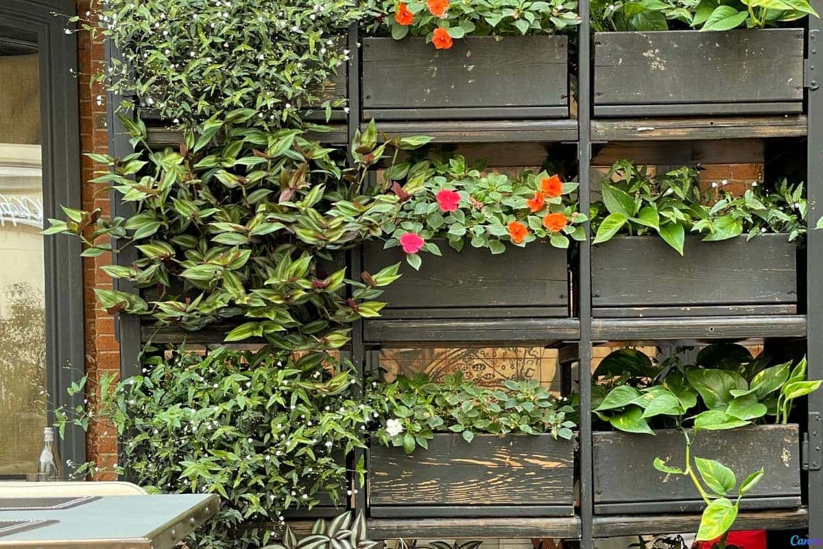 Estante para plantas área externa: ideias práticas e charmosas
