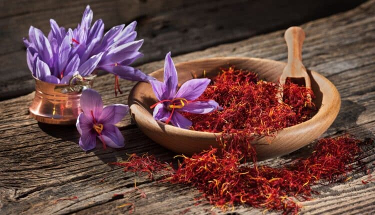 Flor-de-curcuma-como-cuidar-dicas-para-ter-flores-lindas