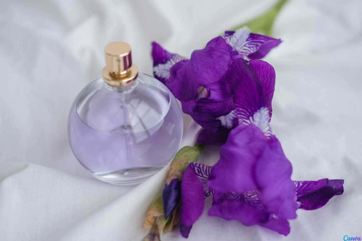 Floratta Fleur de Eclipse parece com qual perfume? Veja o similar apontado por quem testou
