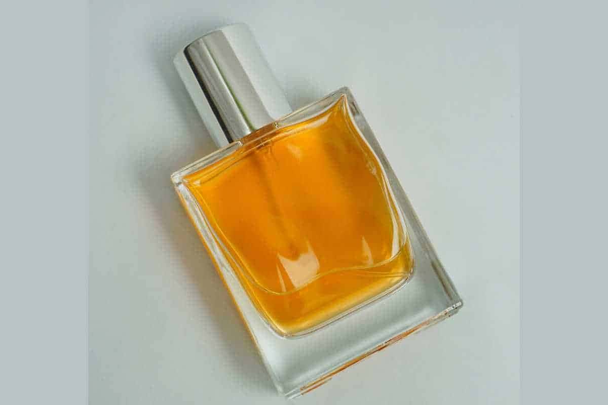 Jasmim Sambac parece com qual perfume? Entenda o aroma e as equivalências