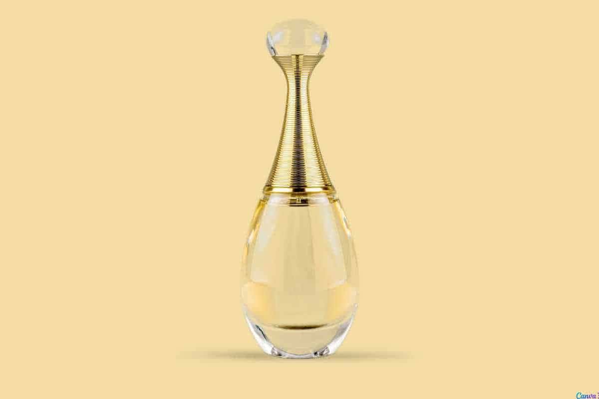 Kriska Drama parece com qual perfume? Veja a comparação com fragrâncias internacionais