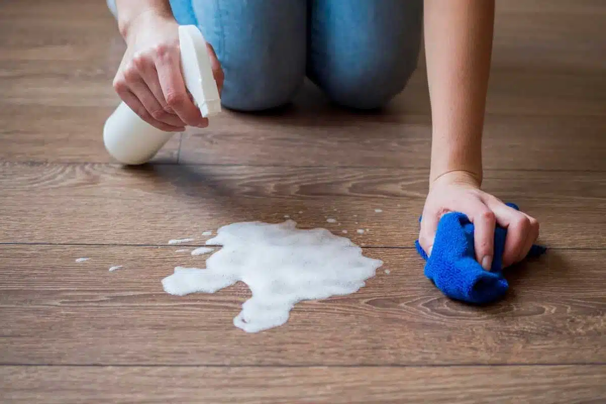 Métodos e Técnicas de Limpeza