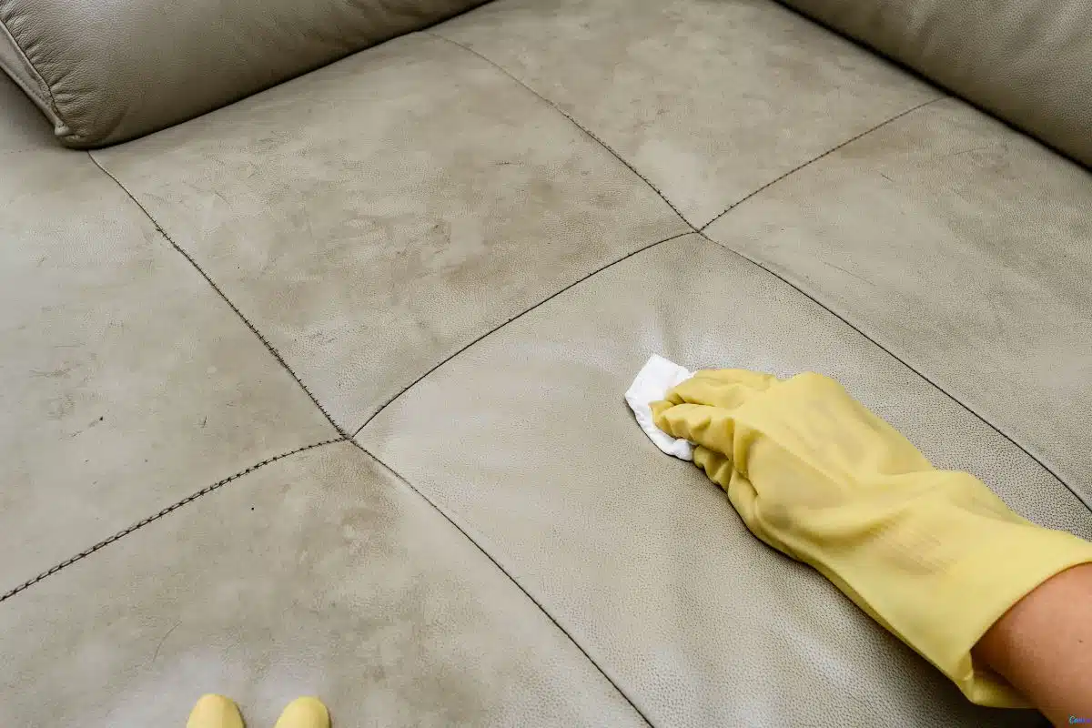 O guia definitivo para remover qualquer tipo de mancha do sofá