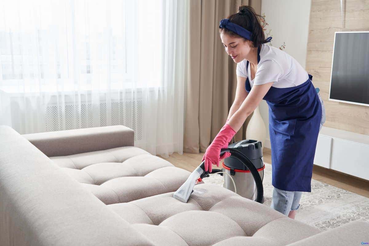 O guia definitivo para remover qualquer tipo de mancha do sofá