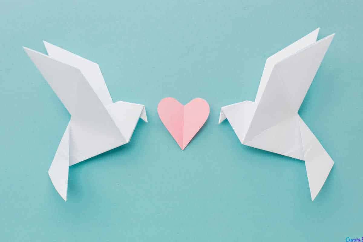 Origami passo a passo: dobraduras fáceis para decorar, presentear ou relaxar