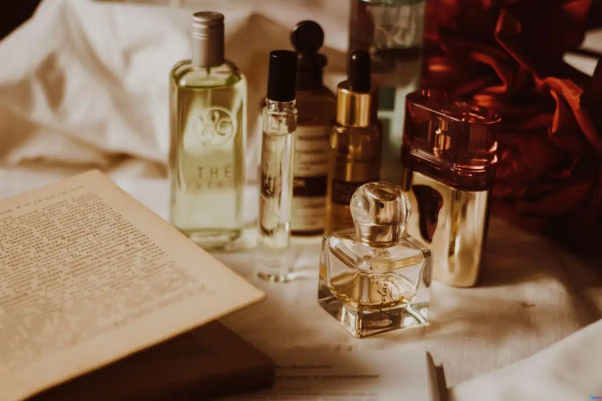 Perfume coffee feminino qual o melhor em 2025