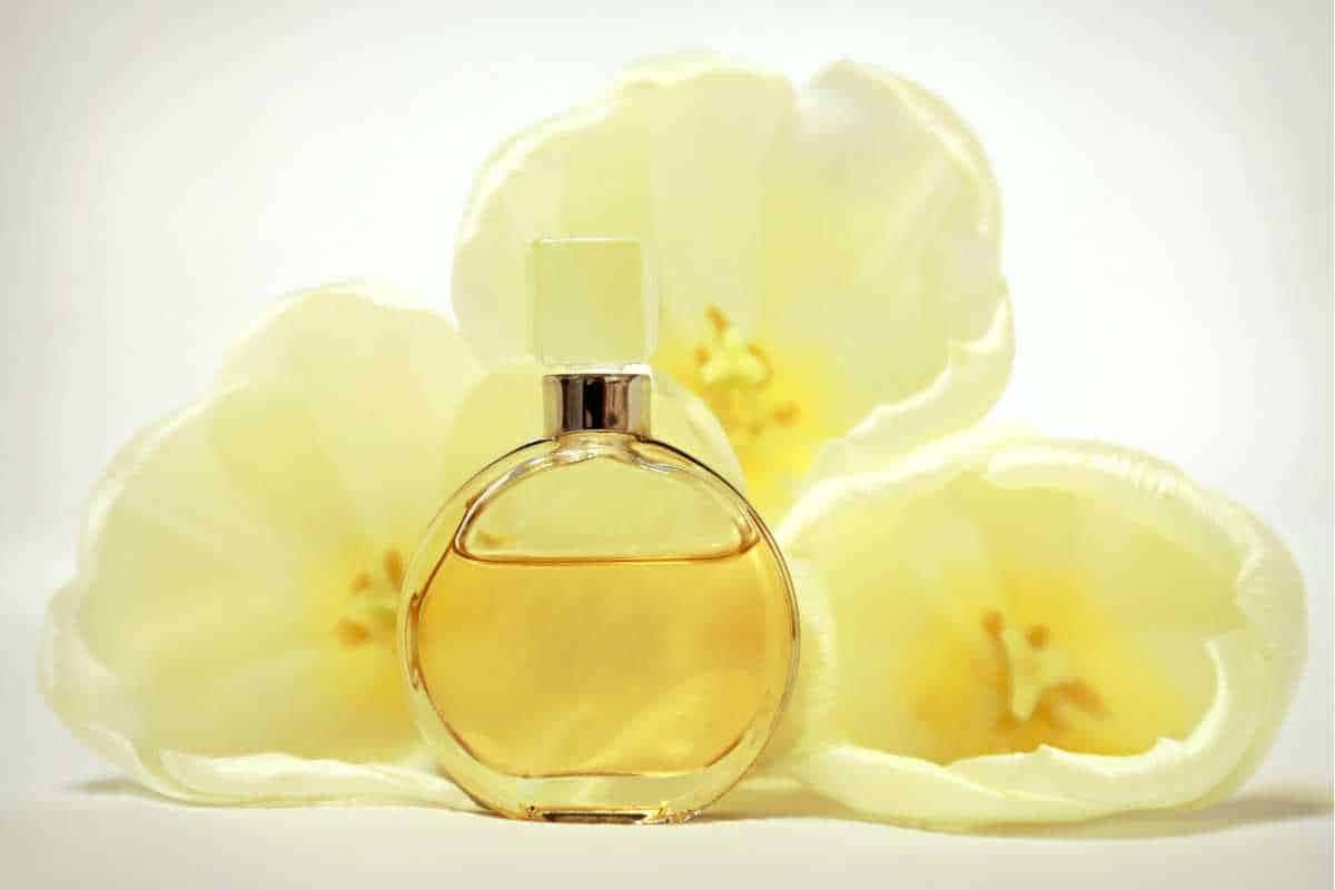 Perfumes Boticário que parecem importados: conheça os mais elogiados pela semelhança