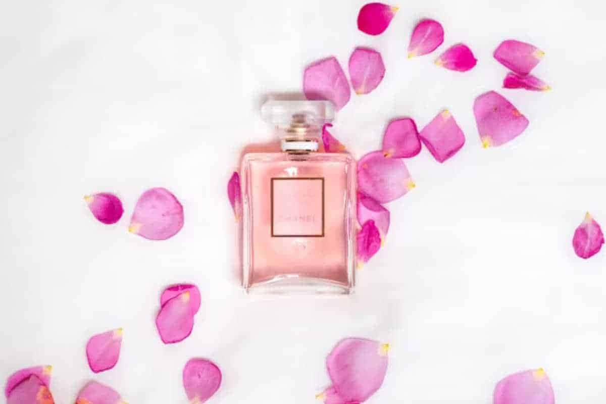 Perfumes femininos que fixam e exalam muito: veja os que mais surpreendem pela duração
