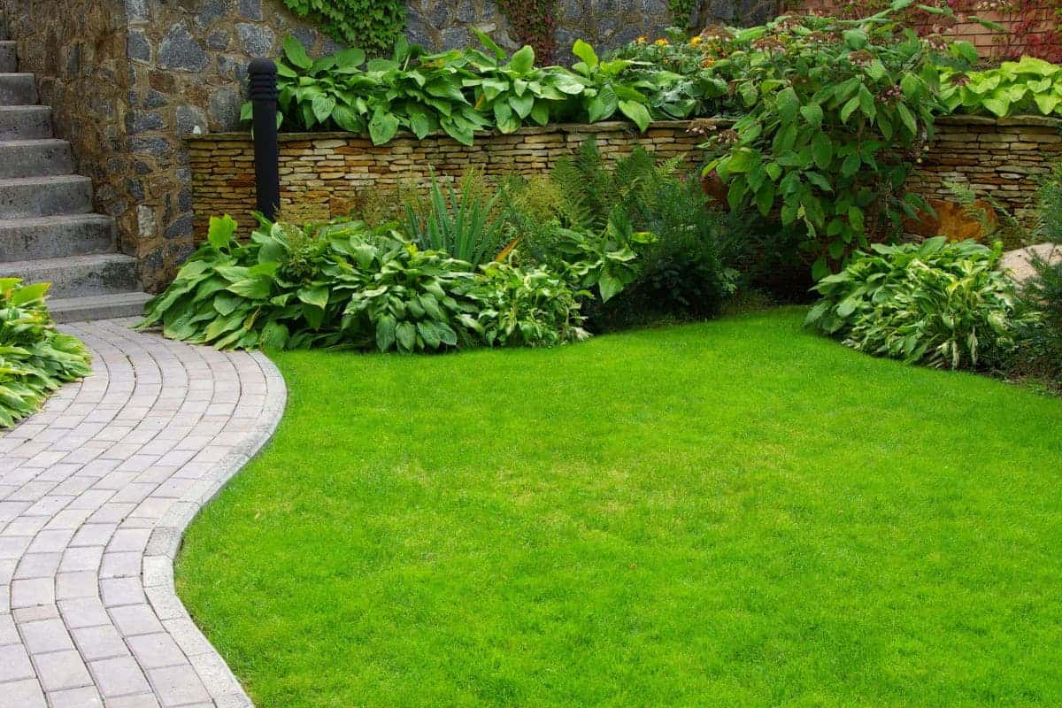 Plantas para frente de casas pequenas