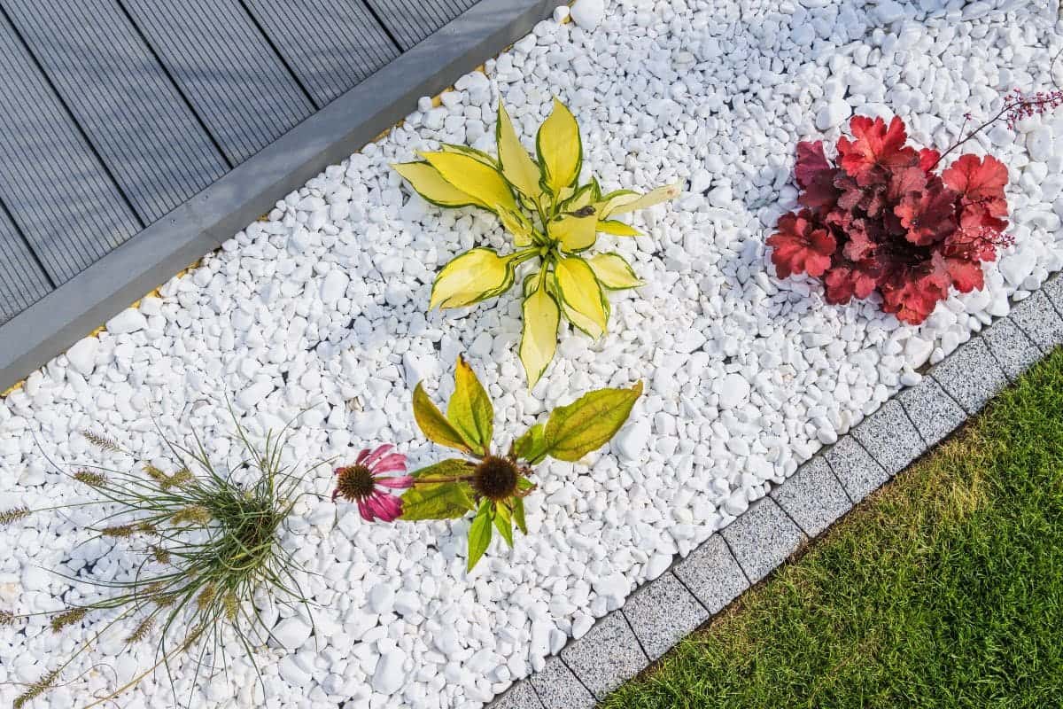 Jardim com pedras simples