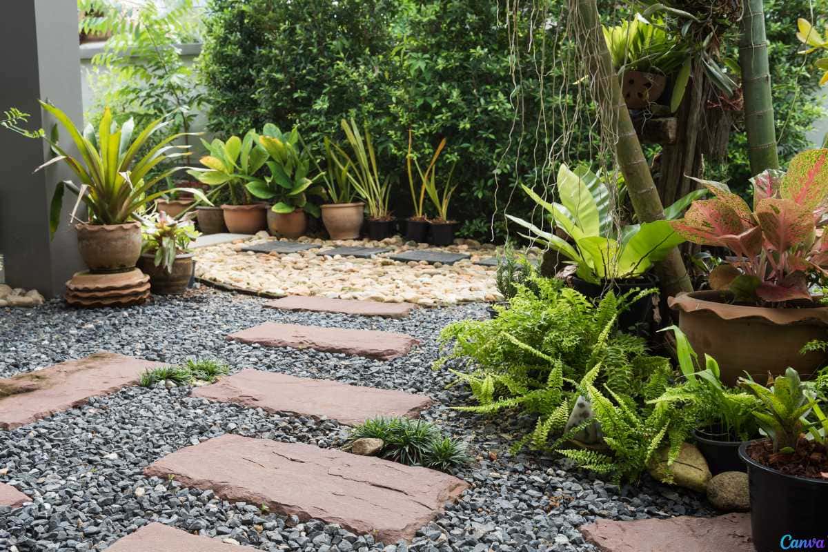 Dicas de Manutenção e Sustentabilidade para Jardins com Pedras