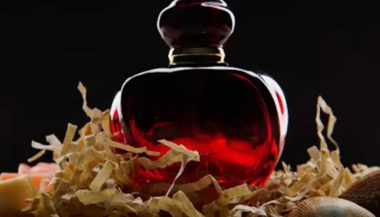 Una Infinito Natura: conheça o perfume, as notas e o público ideal para essa fragrância