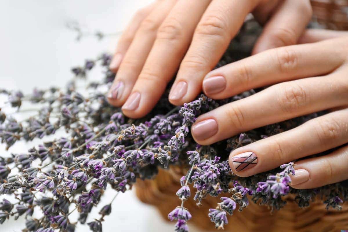 Unha lavanda decorada: a cor suave que virou queridinha dos salões