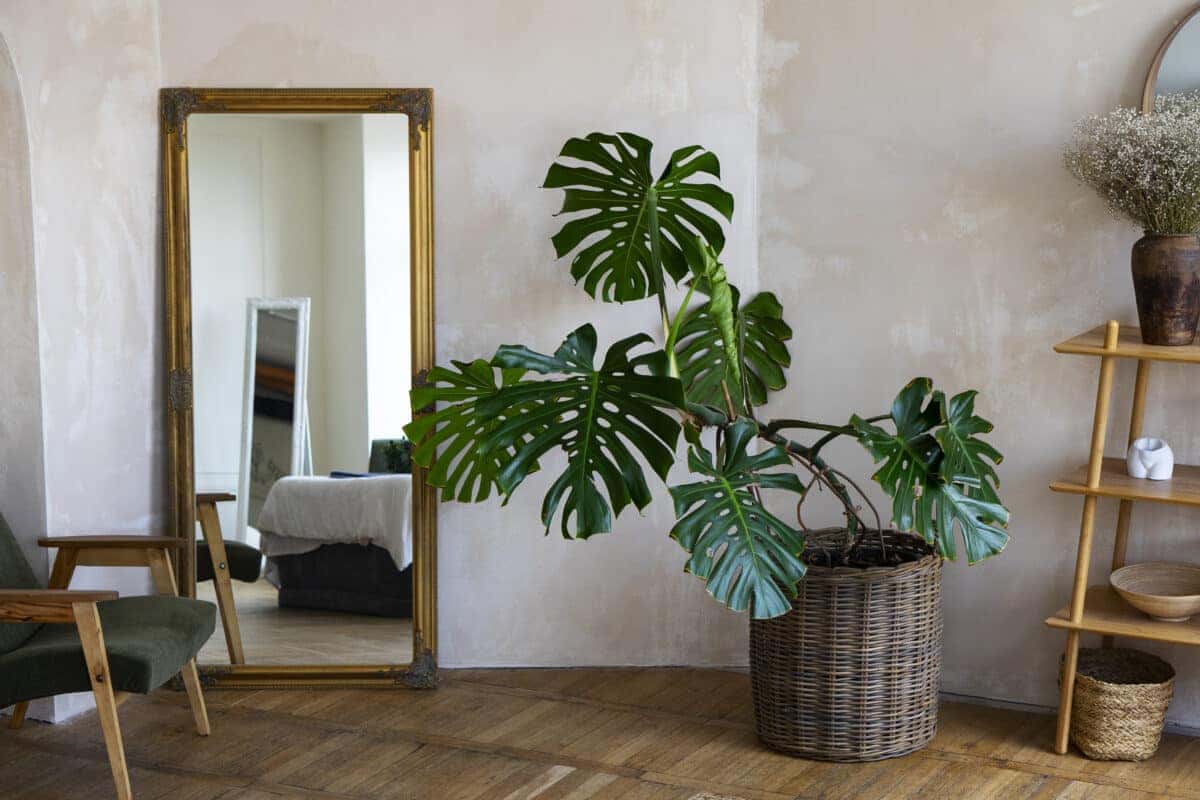 Ideias Criativas e Estilos de Espelhos na Decoração de Salas Pequenas