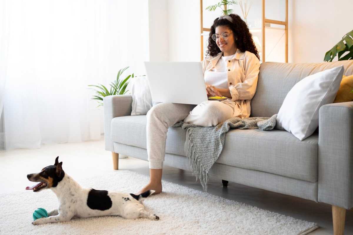 Cuidados Especiais com Sofás em Ambientes com Diversos Animais