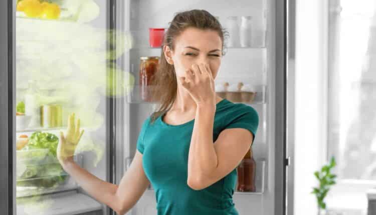 Truque simples para deixar a geladeira sem cheiro e com brilho