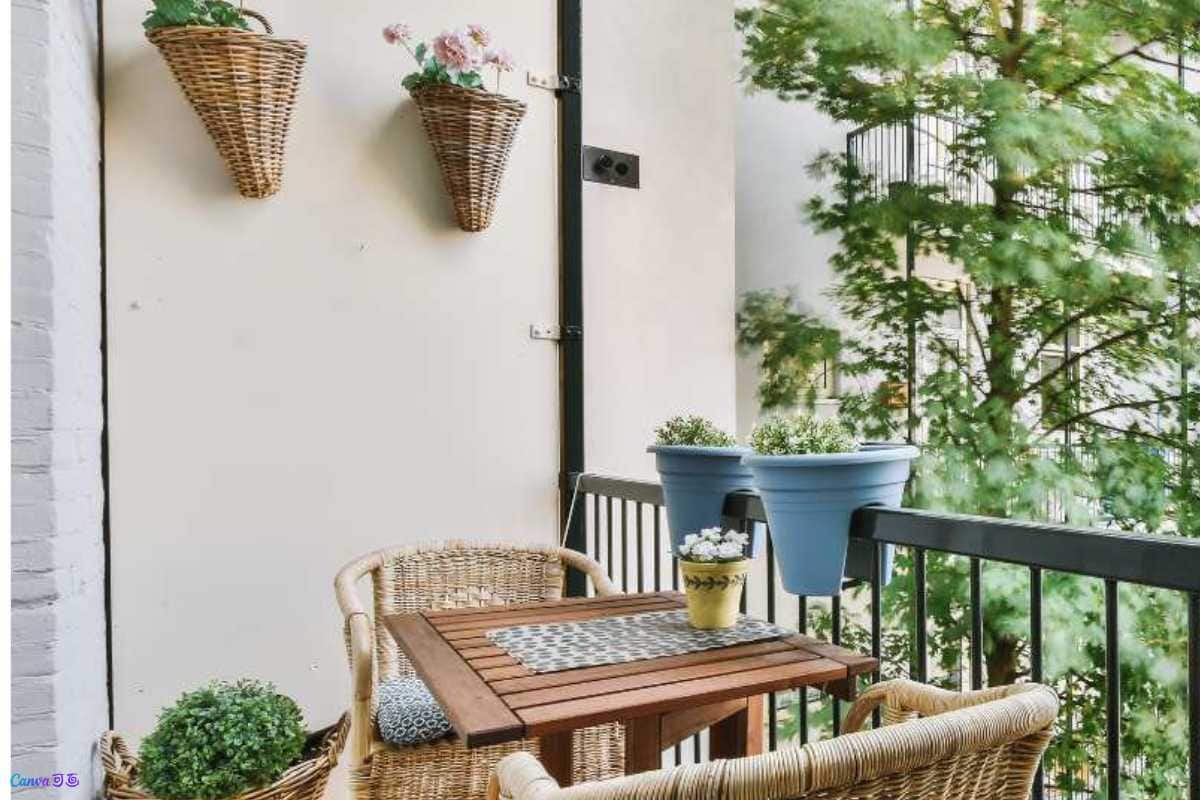 Principais Plantas para Decorar Varandas Pequenas e Ensolaradas
