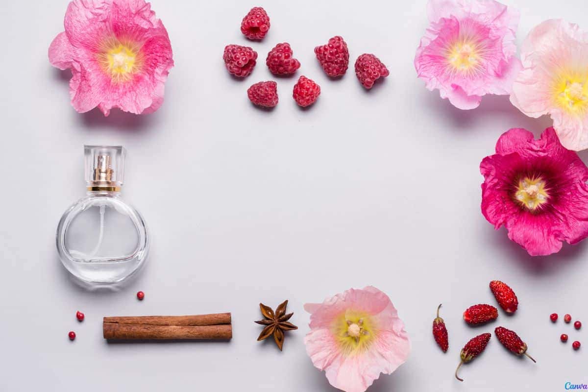 Como fazer perfume em casa com ingredientes simples de forma fácil e econômica