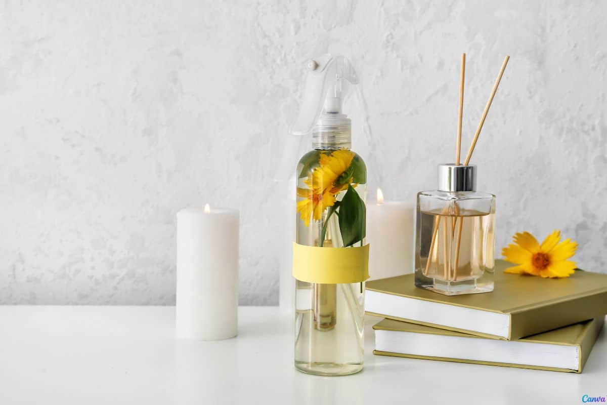Como fazer um aromatizador caseiro que realmente funciona por mais tempo
