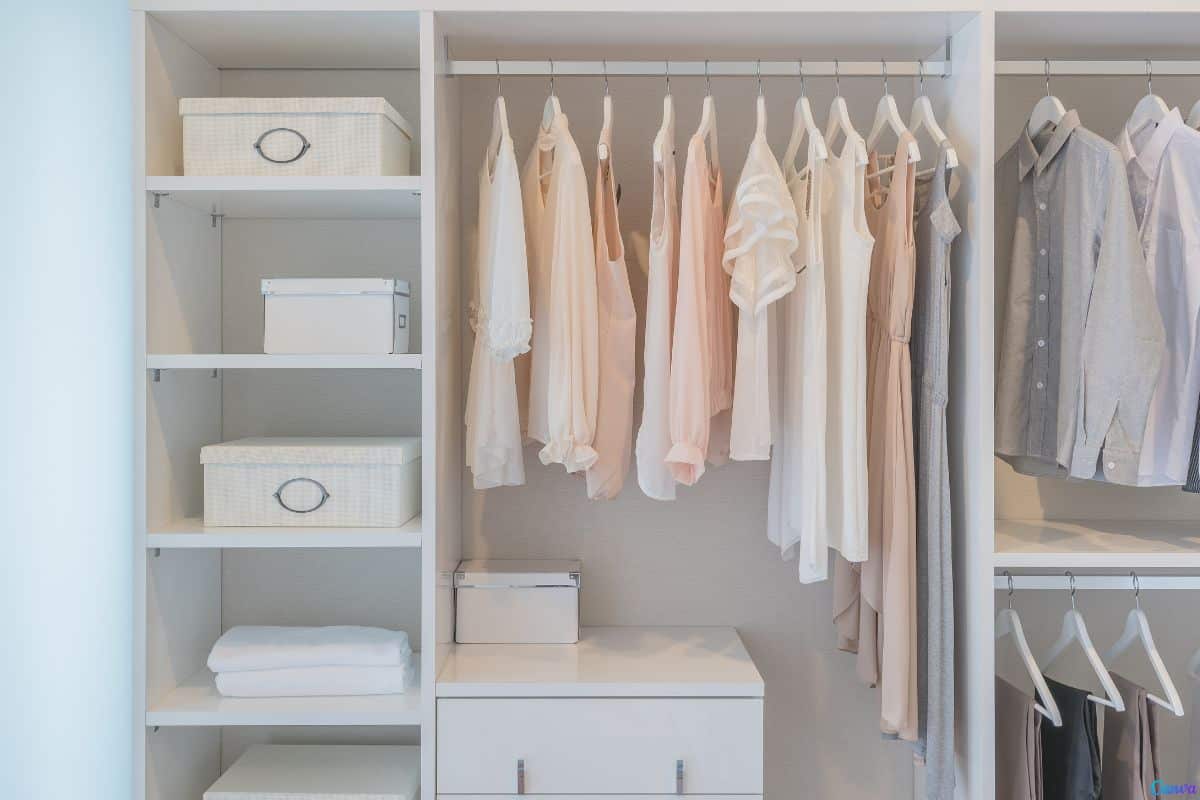 Como manter o guarda-roupa livre de mofo com truque simples e barato