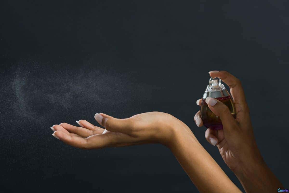 Como passar perfume para exalar o cheiro por mais tempo de forma eficaz e duradoura