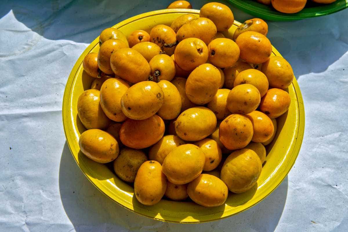 Benefícios surpreendentes da fruta cajar para saúde da pele e do corpo