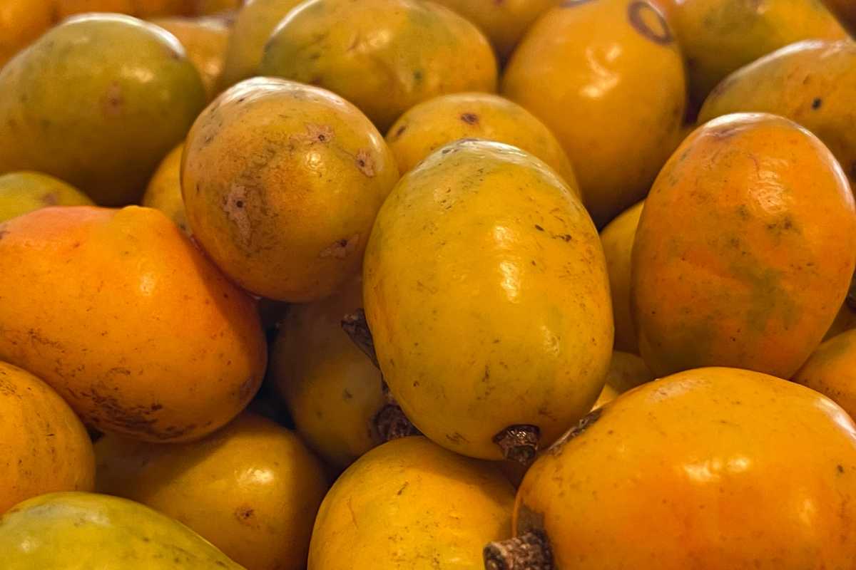 Impactos do consumo de cajar no corpo e bem-estar