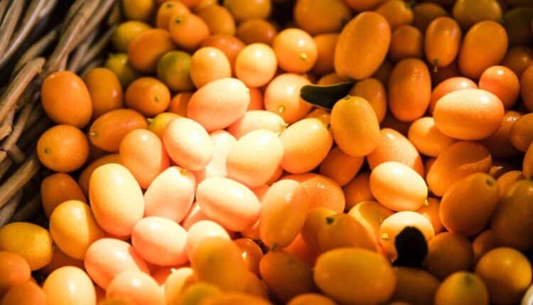 Cajar: conheça os benefícios da fruta tropical que está conquistando nutricionistas