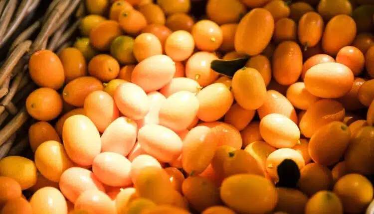 Cajar: conheça os benefícios da fruta tropical que está conquistando nutricionistas