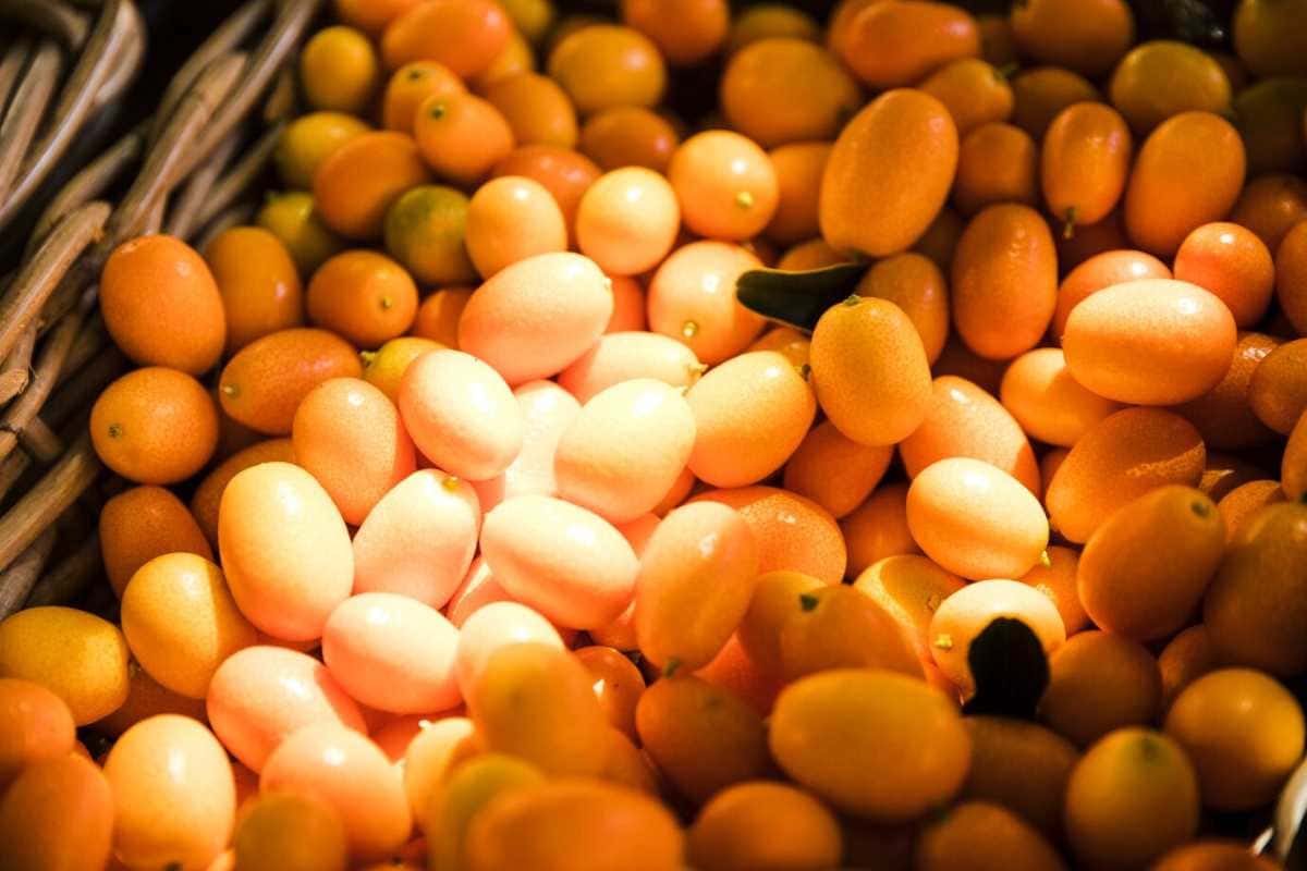 Cajar: conheça os benefícios da fruta tropical que está conquistando nutricionistas