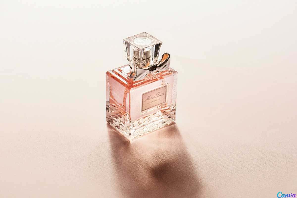 Sugestões de Perfumes e Cuidados Complementares para Presentear