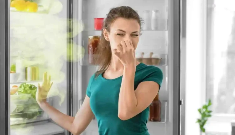 Como deixar a geladeira com cheiro de limpeza o dia todo