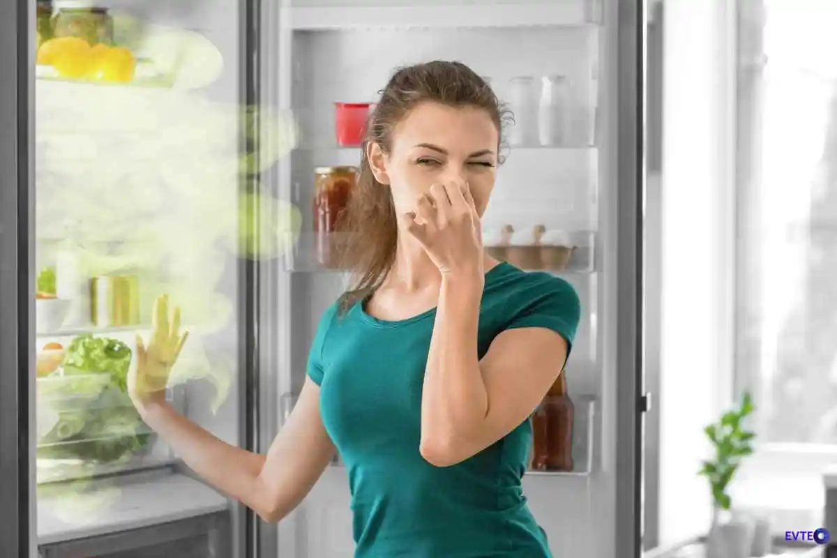Como deixar a geladeira com cheiro de limpeza o dia todo