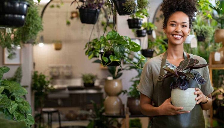 Dicas práticas para ter plantas verdes e bonitas mesmo sem jardim