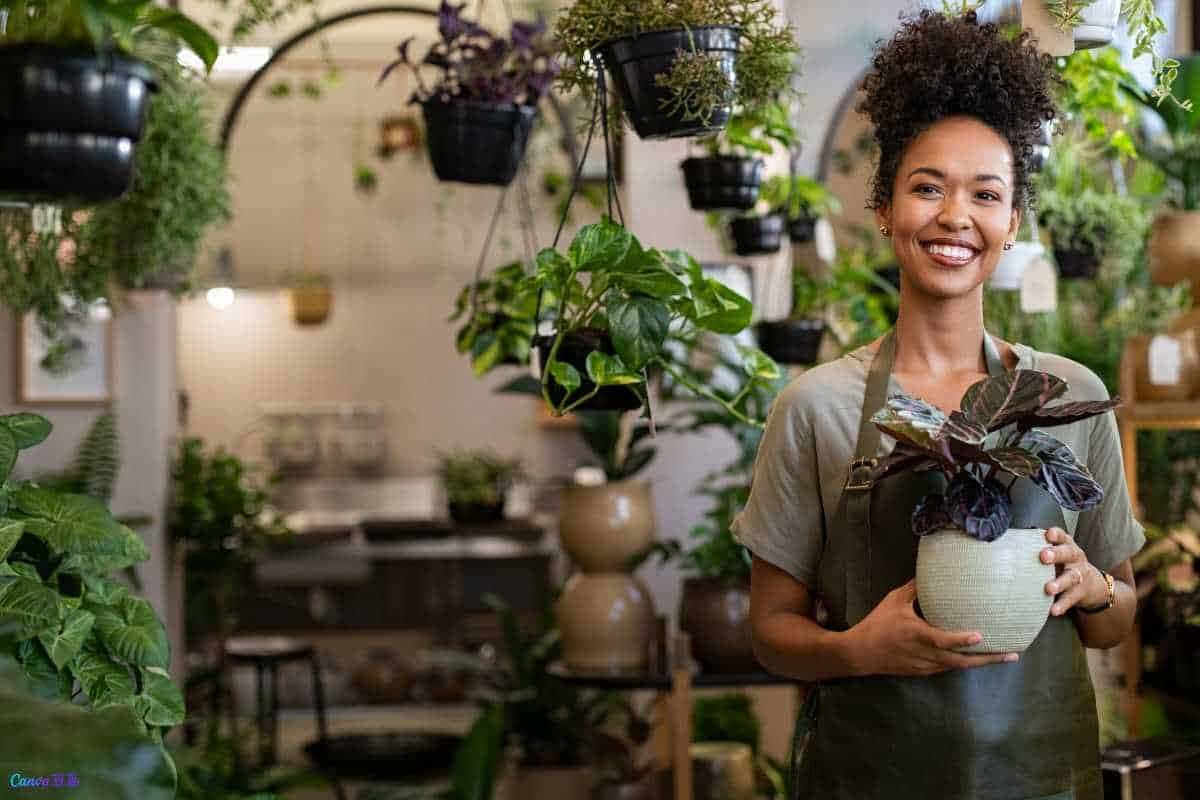 Dicas práticas para ter plantas verdes e bonitas mesmo sem jardim