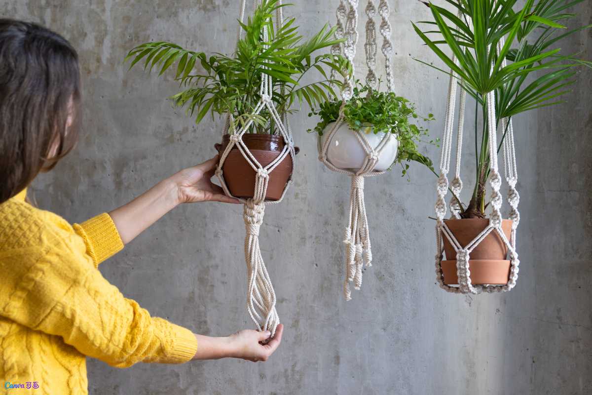 Rotina Prática de Cuidados para Plantas Saudáveis Sem Jardim