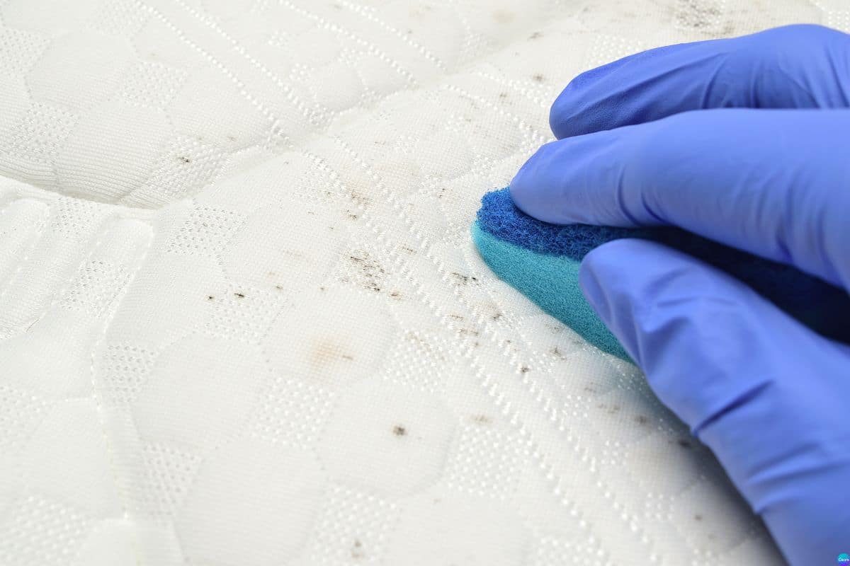 Essa técnica simples ajuda a tirar mancha de base da roupa sem estragar o tecido