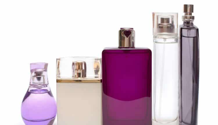 Melhores Egeo feminino: descubra os perfumes mais elogiados que fazem até o seu gato aprovar
