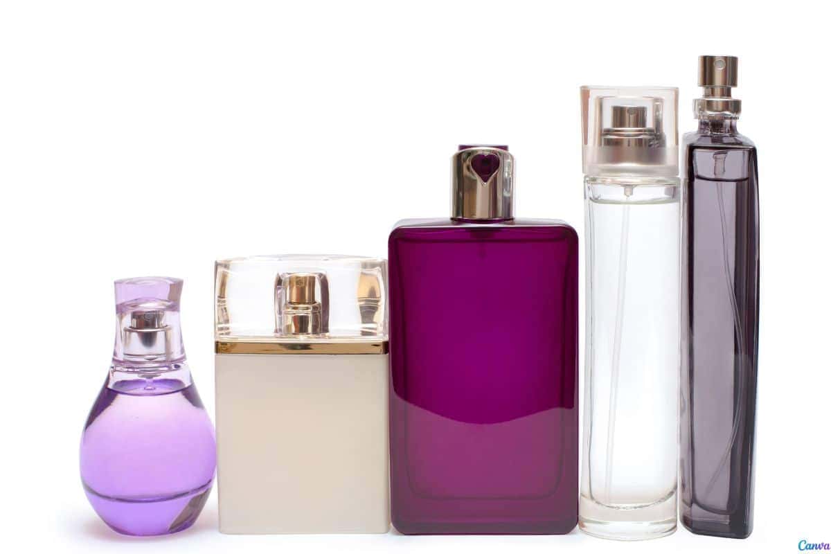 Melhores Egeo feminino: descubra os perfumes mais elogiados que fazem até o seu gato aprovar