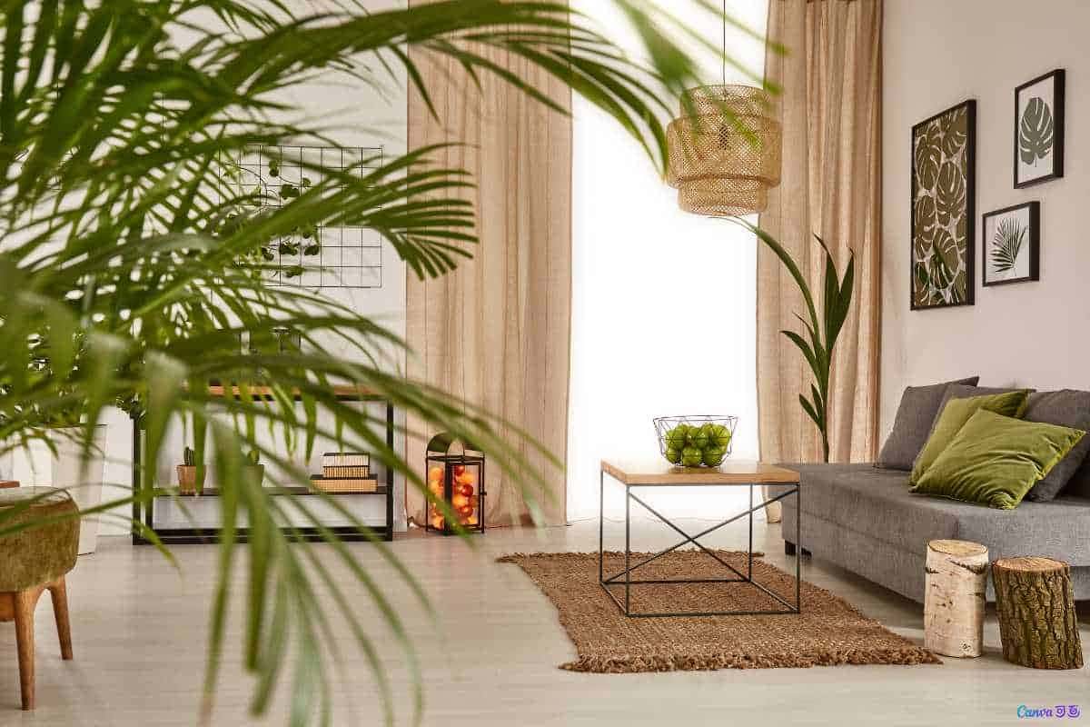 O melhor tipo de planta para quem quer decorar a sala sem dar muito trabalho