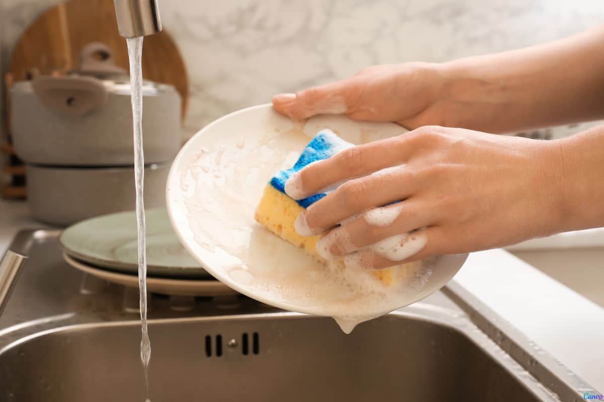 O truque da esponja congelada que está facilitando a vida de quem cozinha