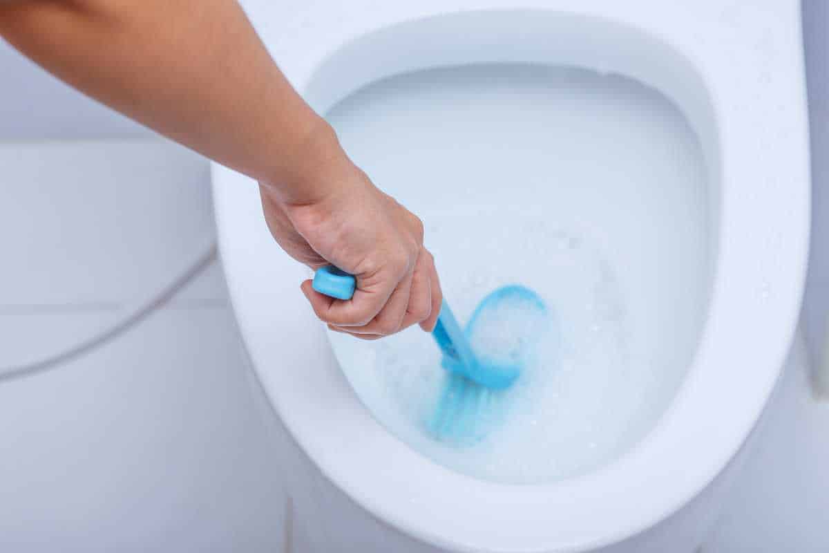 Passo a passo para eliminar sujeira e odor do vaso sanitário
