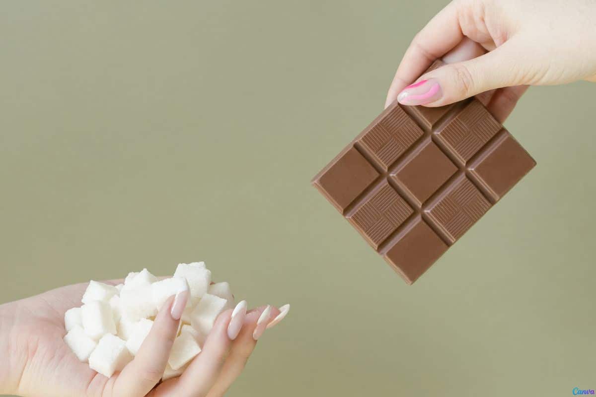 Quem está com dengue pode comer chocolate? Saiba o que dizem os médicos sobre a alimentação ideal