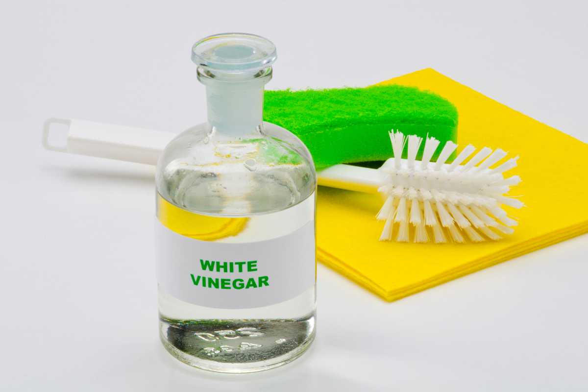 Como usar vinagre branco para neutralizar odores