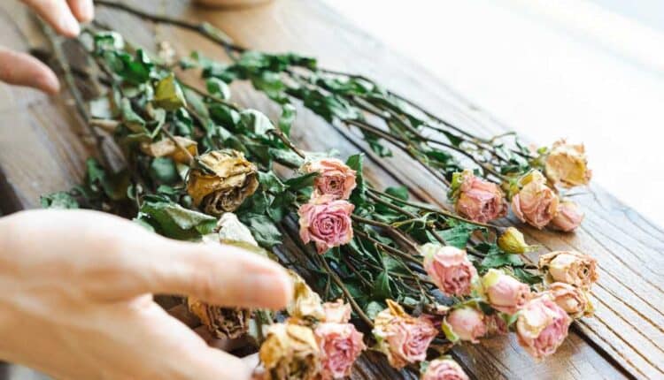 Técnica fácil para revitalizar flores murchas em casa e prolongar a beleza