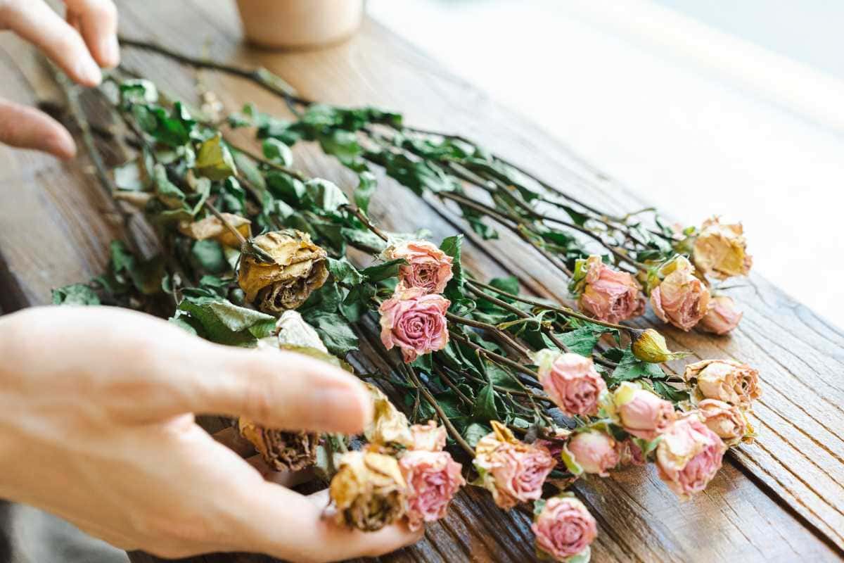 Técnica fácil para revitalizar flores murchas em casa e prolongar a beleza